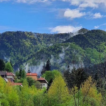 Strada Tiszas Vacation House BaileTusnad Eksteriør bilde