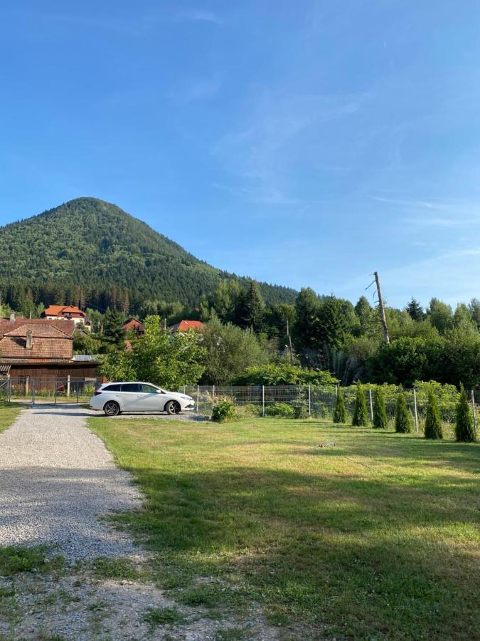 Strada Tiszas Vacation House BaileTusnad Eksteriør bilde