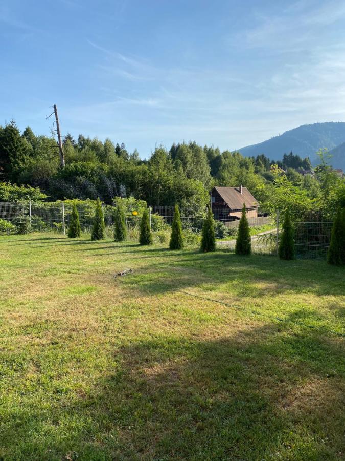 Strada Tiszas Vacation House BaileTusnad Eksteriør bilde